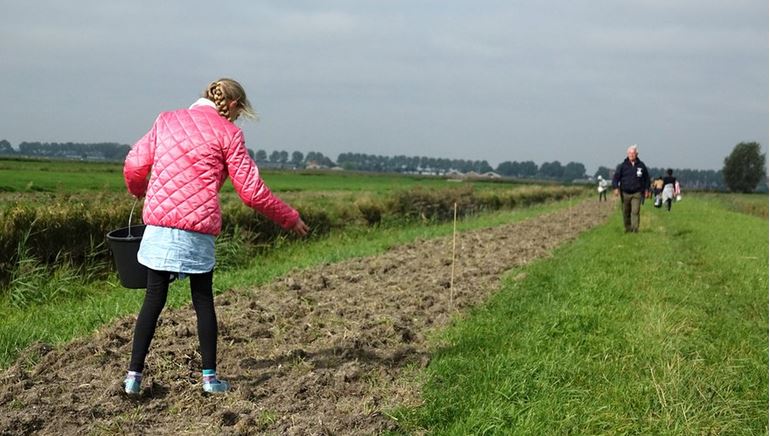 https://www.boerenvanamstel.nl/wp-content/uploads/2019/04/Inzaaien-weidevogelboulevard_Mark-Kuiper.jpg