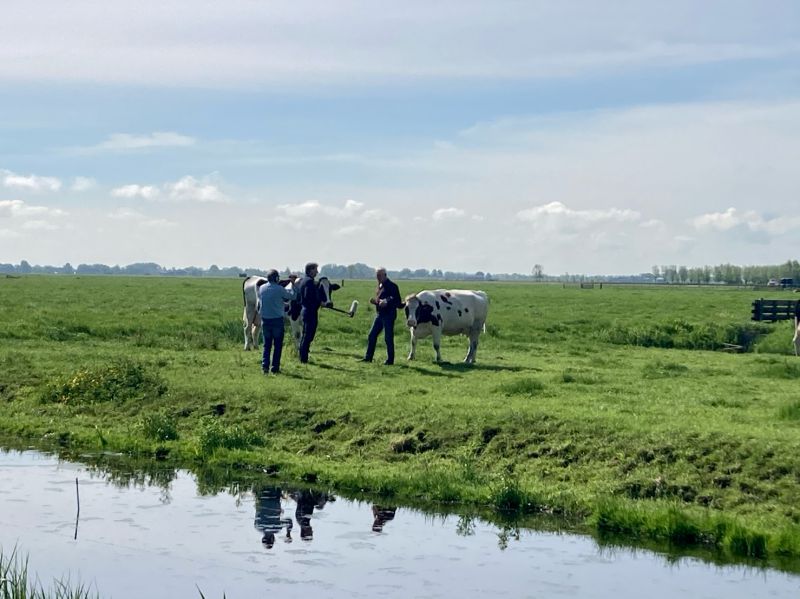 https://www.boerenvanamstel.nl/wp-content/uploads/2021/05/boeren-van-amstel-plas-dras.jpeg