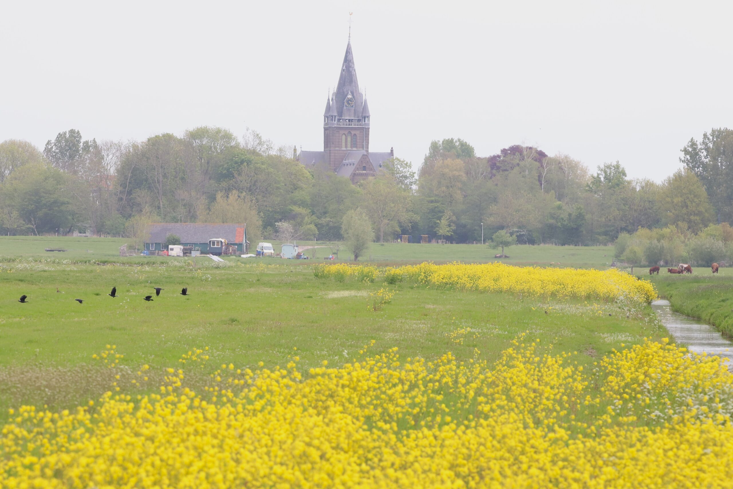 https://www.boerenvanamstel.nl/wp-content/uploads/2022/05/IMG_0327-scaled.jpg