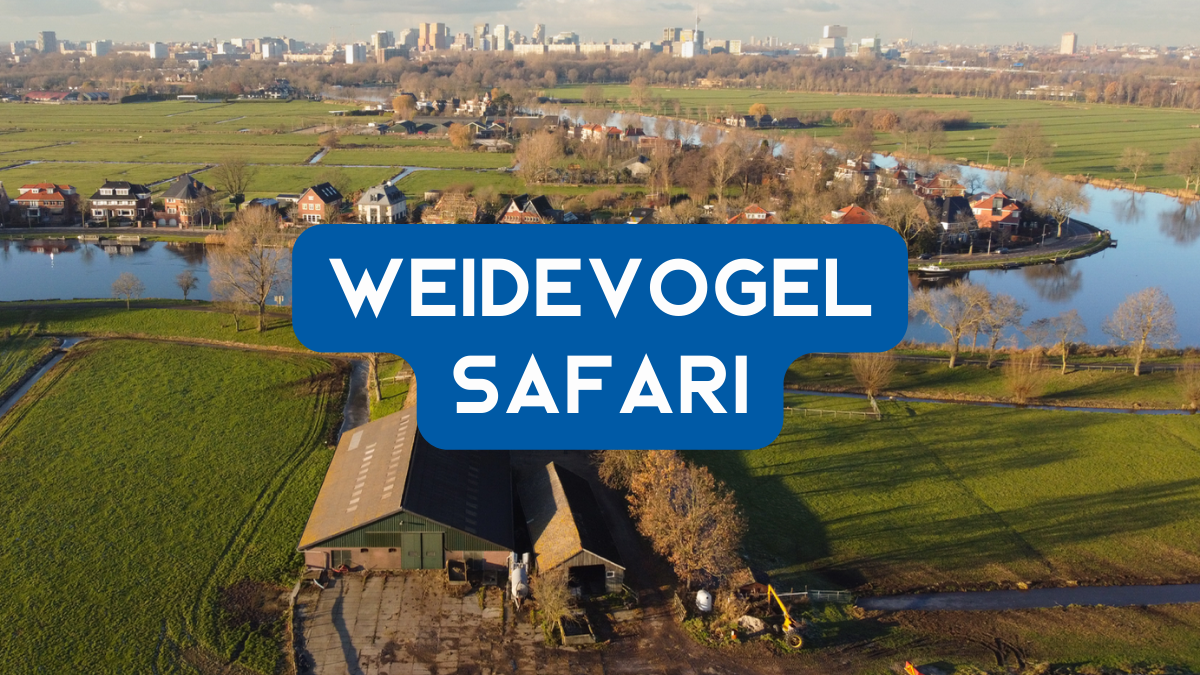 https://www.boerenvanamstel.nl/wp-content/uploads/2023/02/Weidevogelsafari-overzicht-mogelijkheden.docx-presentatie-1.png