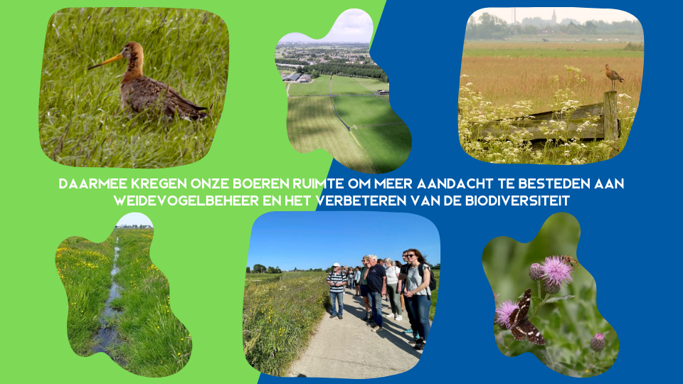 https://www.boerenvanamstel.nl/wp-content/uploads/2023/12/Weidevogelbeheer-Vogelbescherming-biodiversiteit-2023.png
