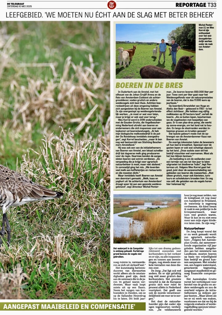 Telegraaf Vogelbescherming Amsterdam Amstelland grutto Weidevogels 10 mei 2024 02